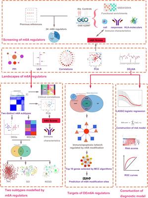 Frontiers Novel Insight Into M A Regulator Mediated Methylation